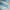 Adidas Streetwear Sportswear Jersey Pria white blue photo 4