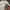 MLB Streetwear Sweater Pria white cream photo 3