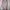 Casual Baju muslim Wanita pink photo 1