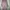 Casual Baju muslim Wanita pink photo 4