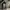Gramicci Casual Formal pants Pria tan photo 2