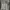 ZARA Vintage Muslim Wanita white photo 1