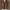 H&M Luxury Blouse Wanita brown black photo 1
