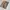 Minimalist Casual Toy Kids tan cream photo 3