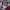 Casual Windbreaker Pria red photo 3