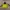 The North Face Gorpcore Windbreaker Pria gray yellow photo 2