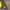 The North Face Gorpcore Windbreaker Pria gray yellow photo 7