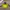 The North Face Gorpcore Windbreaker Pria gray yellow photo 1