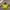 The North Face Gorpcore Windbreaker Pria Gray Yellow