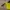 The North Face Gorpcore Windbreaker Pria gray yellow photo 3