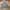 ZARA Vintage Casual Harrington jacket Pria gray photo 1