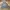 ZARA Vintage Casual Harrington Jacket Pria Gray