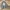 ZARA Vintage Casual Harrington jacket Pria gray photo 6