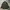 Stussy Streetwear Casual Casual shirt Pria multicolor photo 1