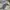 Drew House Streetwear Hoody Pria cream photo 6