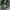 Avirex Vintage Streetwear Parka Pria green photo 7