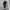 Arc'teryx Y2K Gorpcore Windbreaker Pria black photo 2