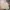 Zara Streetwear Casual Windbreaker Pria tan photo 1