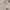 Zara Streetwear Casual Windbreaker Pria tan photo 4