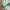 Pull & Bear Streetwear Indie Windbreaker Pria multicolor photo 5