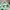 Pull & Bear Streetwear Indie Windbreaker Pria multicolor photo 3