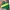 Polo Ralph Lauren Vintage Y2K Short Pria green yellow photo 2