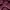 NII Casual Hoody Pria burgundy photo 5