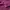 Uniqlo Casual Hoody Pria purple photo 4