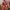 Luxury Avant Garde Wanita green red photo 3