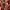Luxury Avant Garde Wanita green red photo 4