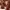 Luxury Avant Garde Wanita green red photo 1