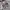 Under Armour Casual Hoody Pria gray photo 2