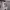 Under Armour Casual Hoody Pria gray photo 3