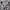 Under Armour Casual Hoody Pria gray photo 5