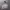 KIRSH Casual Hoody Pria gray photo 1