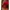 Avant Garde Pakaian adat Wanita gold red photo 3