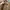 Dickies Y2K Casual Formal shirt Pria brown photo 2