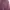 Casual Blouse Wanita purple photo 1