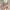 Y2K Casual Mini skirt Wanita tan photo 2