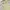 Pearly Gates Sportswear Casual Polo shirt Pria gray yellow photo 6