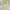Pearly Gates Sportswear Casual Polo shirt Pria gray yellow photo 7