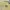 Pearly Gates Sportswear Casual Polo shirt Pria gray yellow photo 5