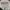 Affection Los Angeles Vintage Streetwear T-shirt Pria white black photo 8
