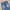 Vintage Y2K Jeans Pria blue photo 7