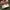 Adidas Casual Casual shoe Pria red cream photo 7