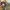 GAP Vintage Streetwear Parka Pria green cream photo 4