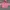 Streetwear Casual Hoody Pria pink photo 1