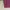 Japanese brand Luxury Minimalist Blouse Wanita red photo 3