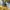 Adidas Vintage Casual Short Pria yellow photo 6