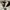 Maison Margiela Luxury Minimalist Casual shoe Pria white cream photo 8